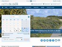Tablet Screenshot of hoteldezalm.nl